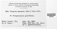 Image Associated With the Occurence